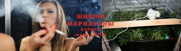 сатива Дмитриев