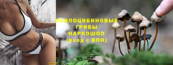 сатива Дмитриев
