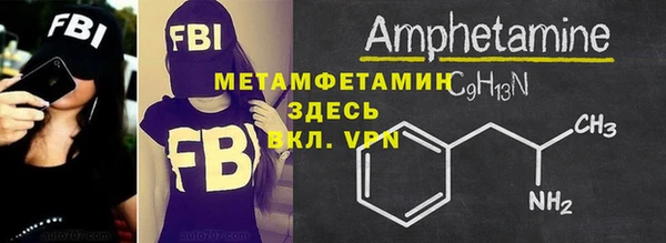 индика Елизово