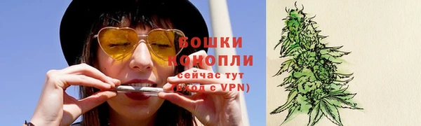 стаф Дмитровск