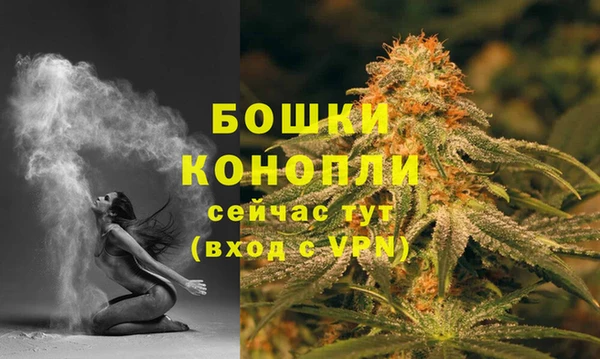 индика Щучье