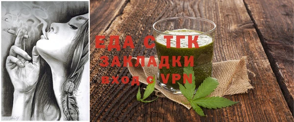 индика Елизово