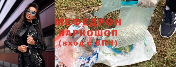 стаф Дмитровск