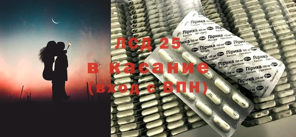 spice Ельня