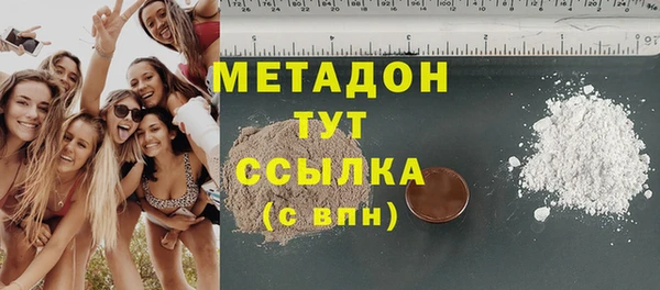 индика Елизово