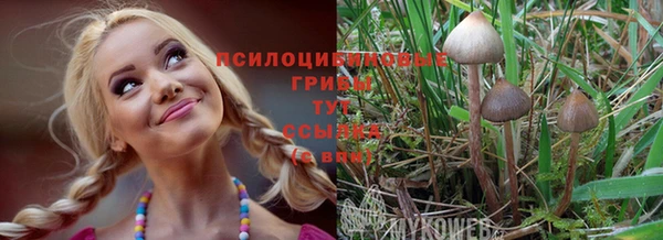 герыч Дмитров