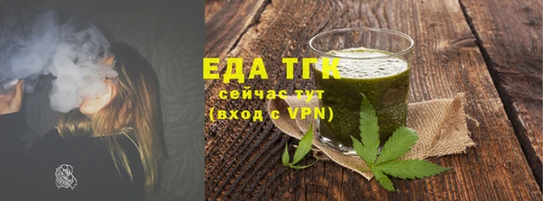 индика Елизово