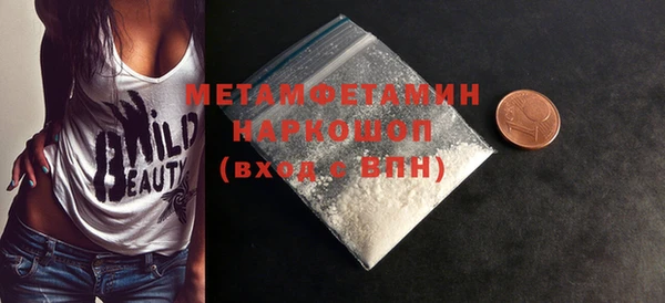 индика Елизово