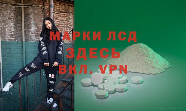 стаф Дмитровск