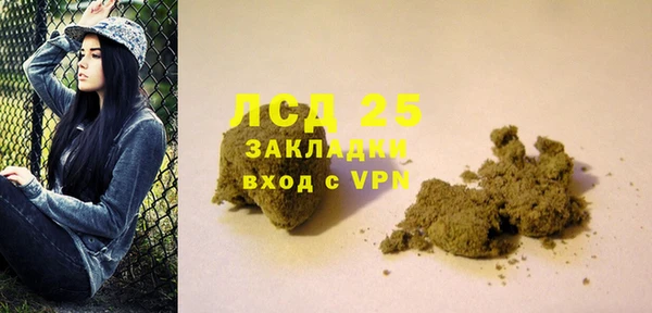 spice Ельня