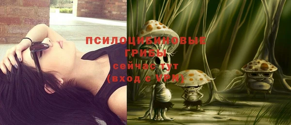 стаф Дмитровск